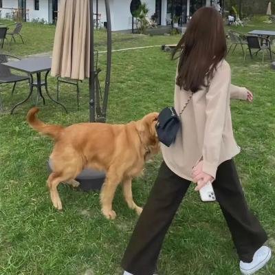 我的女官大人