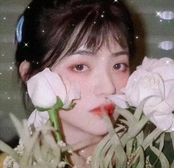 荣耀之路